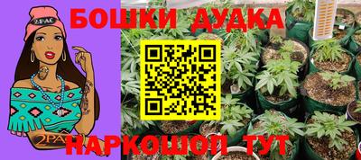 a pvp Краснодар