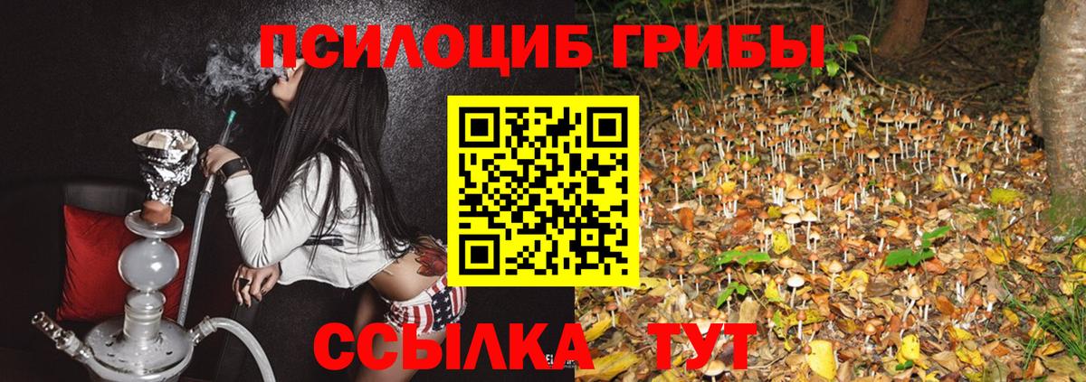 Псилоцибиновые грибы мицелий  Вход с VPN  Фрязино 