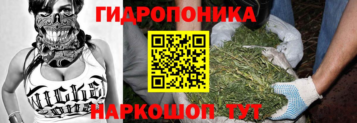 Конопля конопля Фрязино
